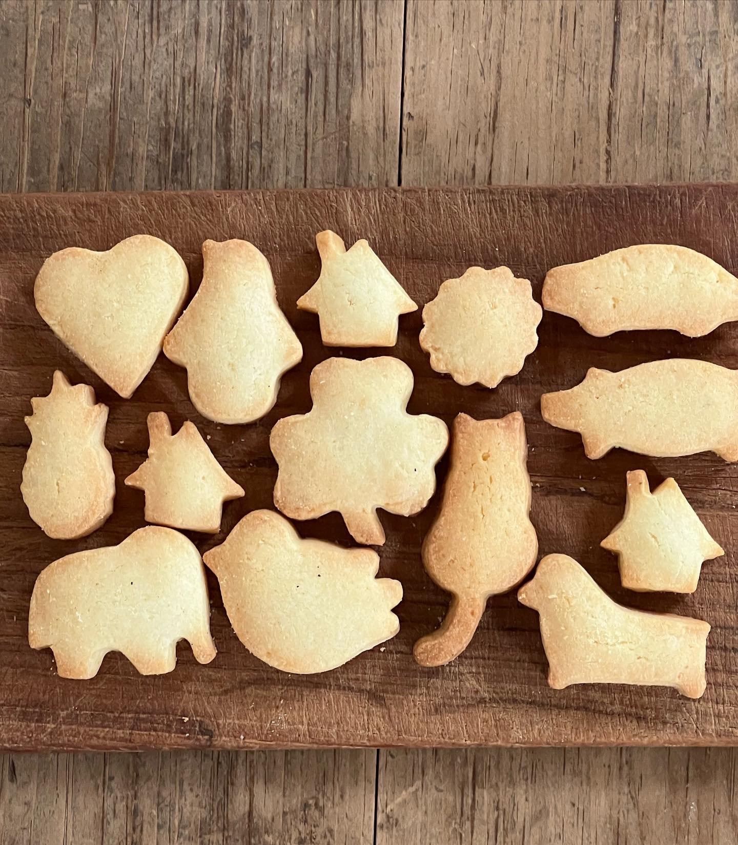 ミアズブレッドのロングセラー猫ちゃんクッキー缶シリーズ